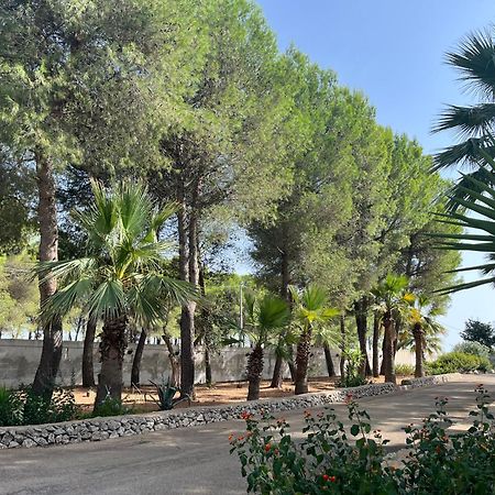 Casette Masseria La Camardia Sava Екстериор снимка
