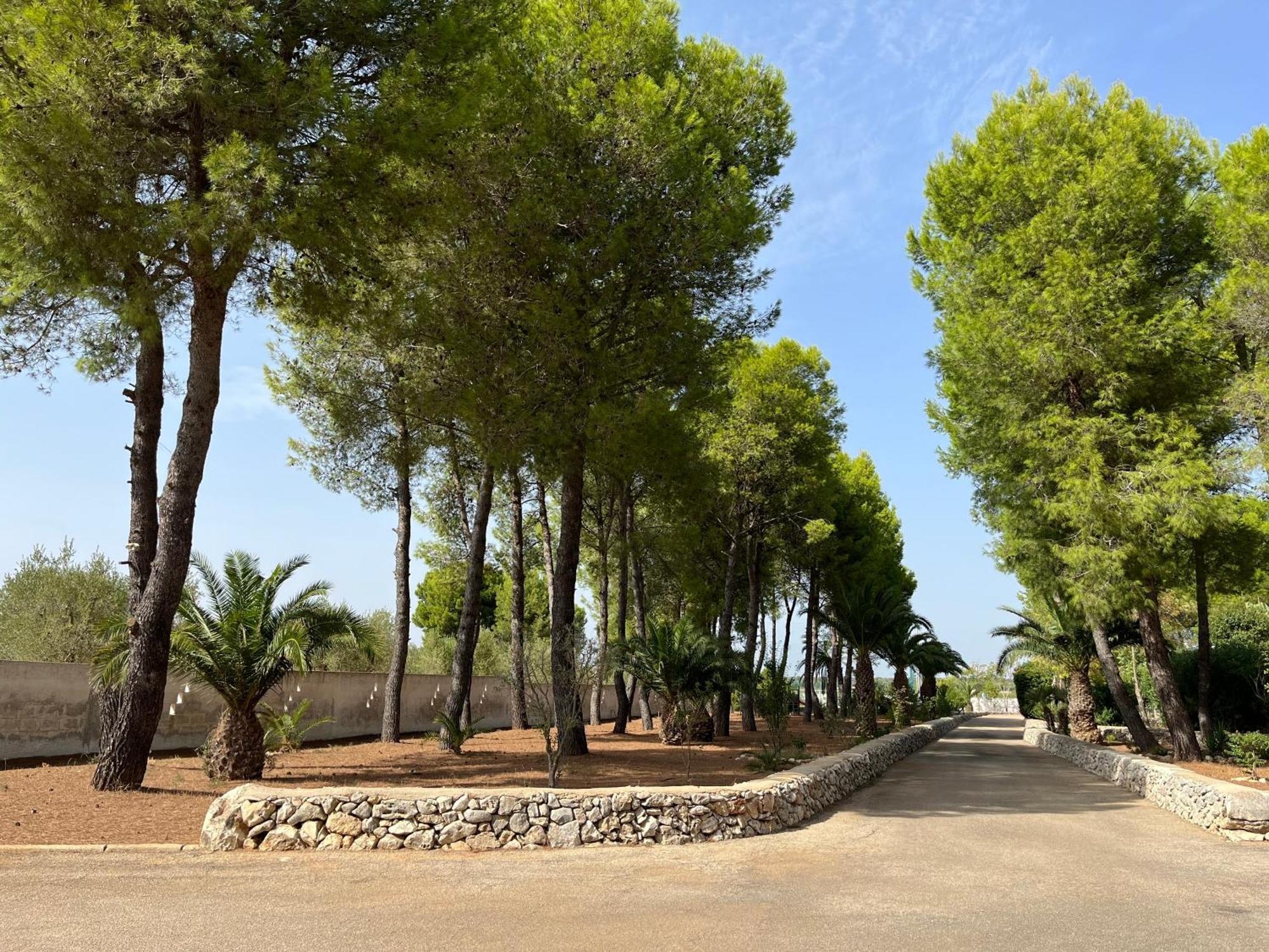 Casette Masseria La Camardia Sava Екстериор снимка