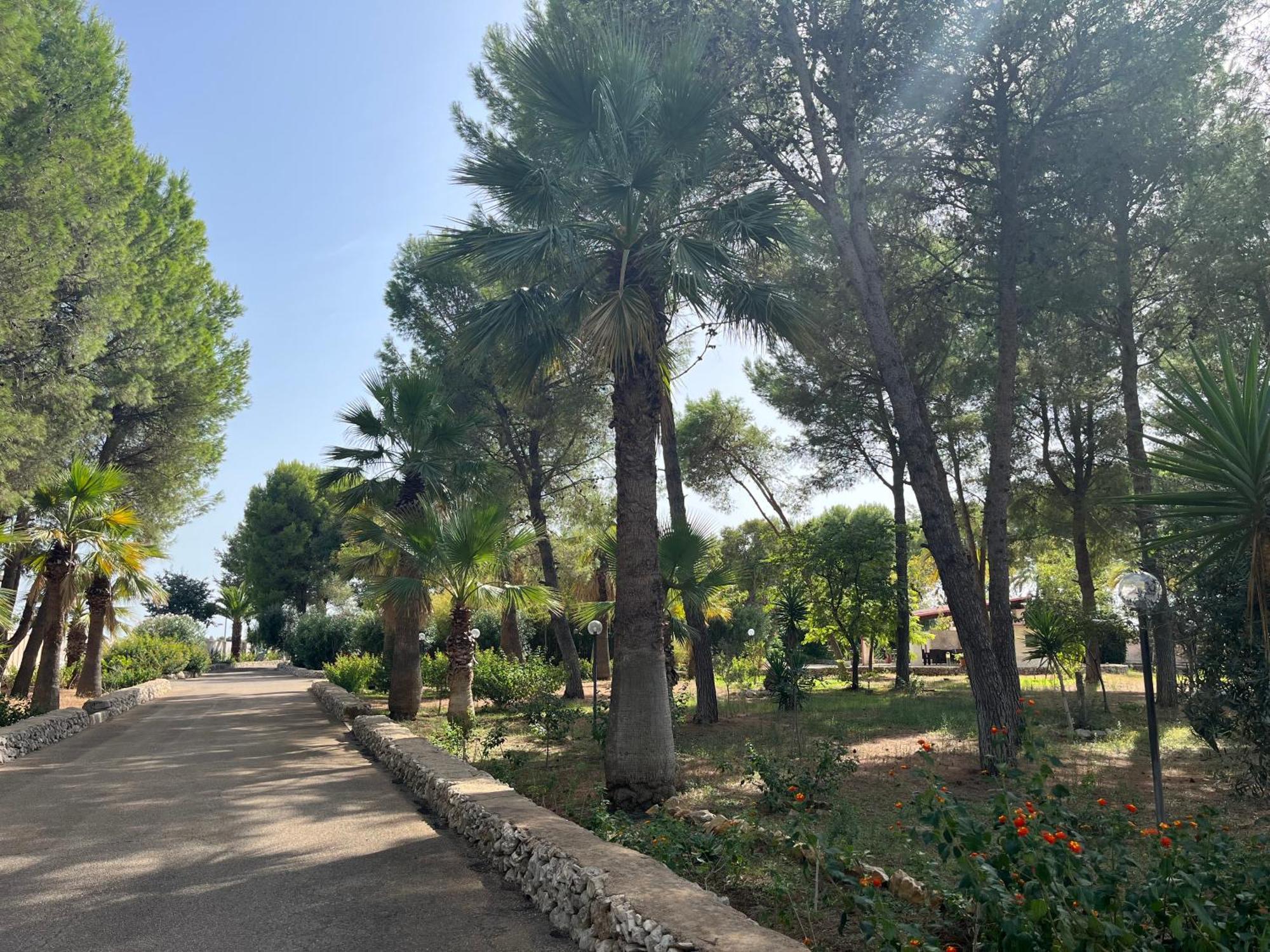 Casette Masseria La Camardia Sava Екстериор снимка