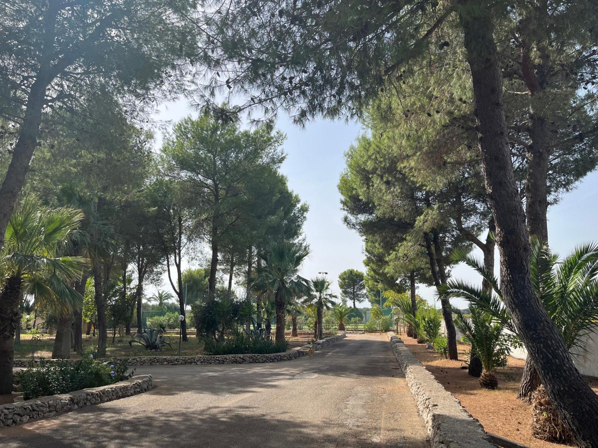 Casette Masseria La Camardia Sava Екстериор снимка