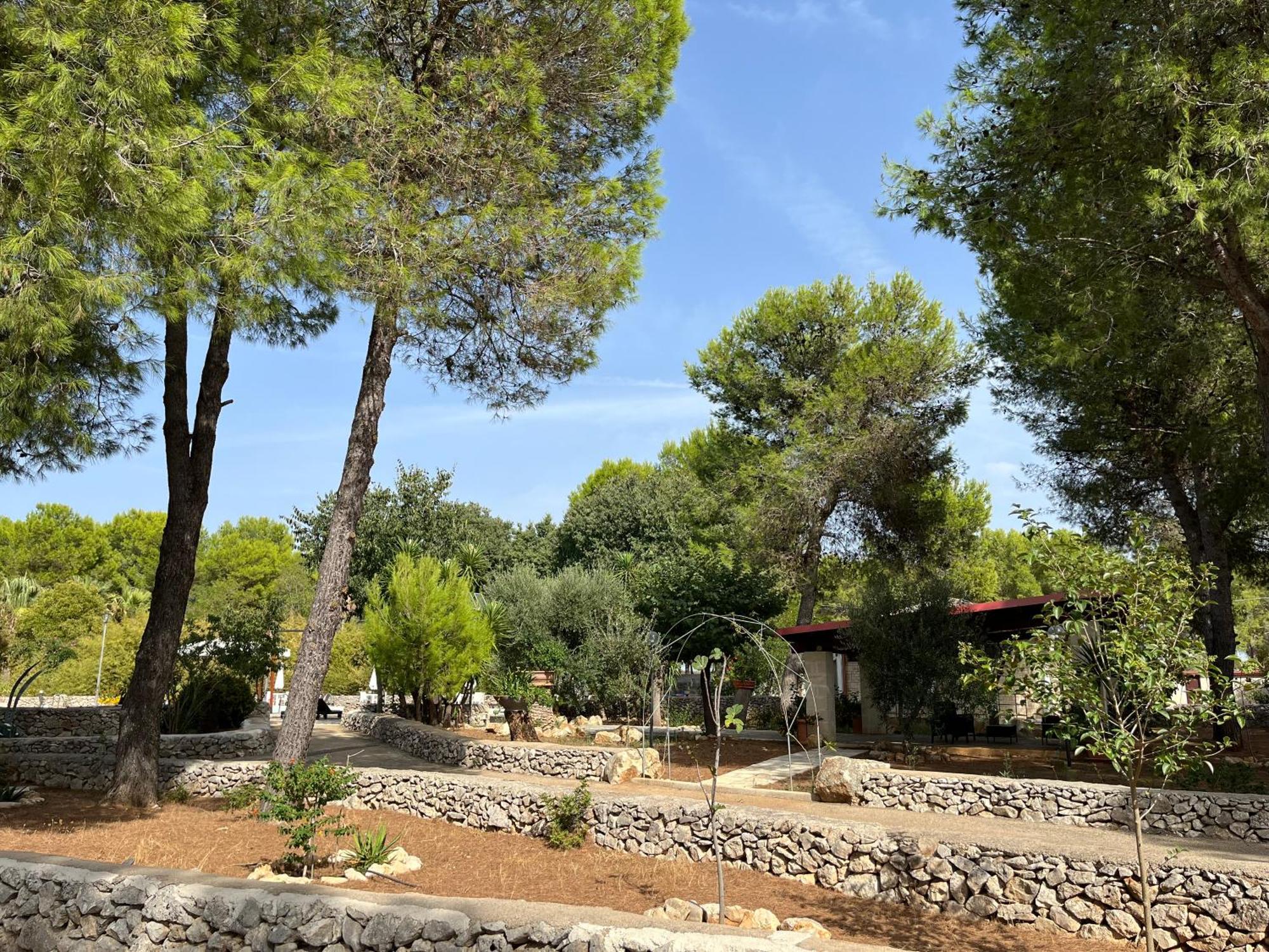 Casette Masseria La Camardia Sava Екстериор снимка