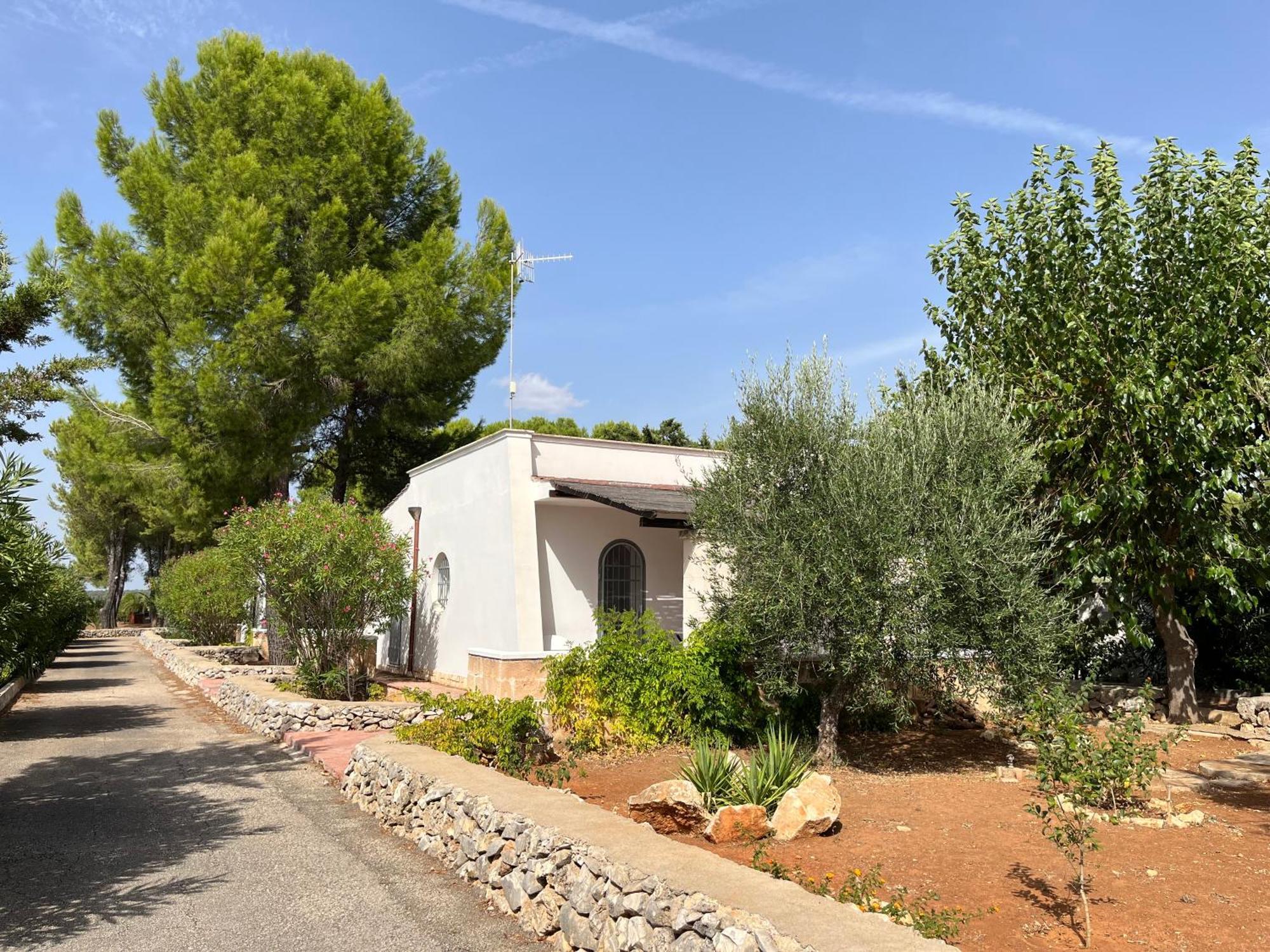 Casette Masseria La Camardia Sava Екстериор снимка