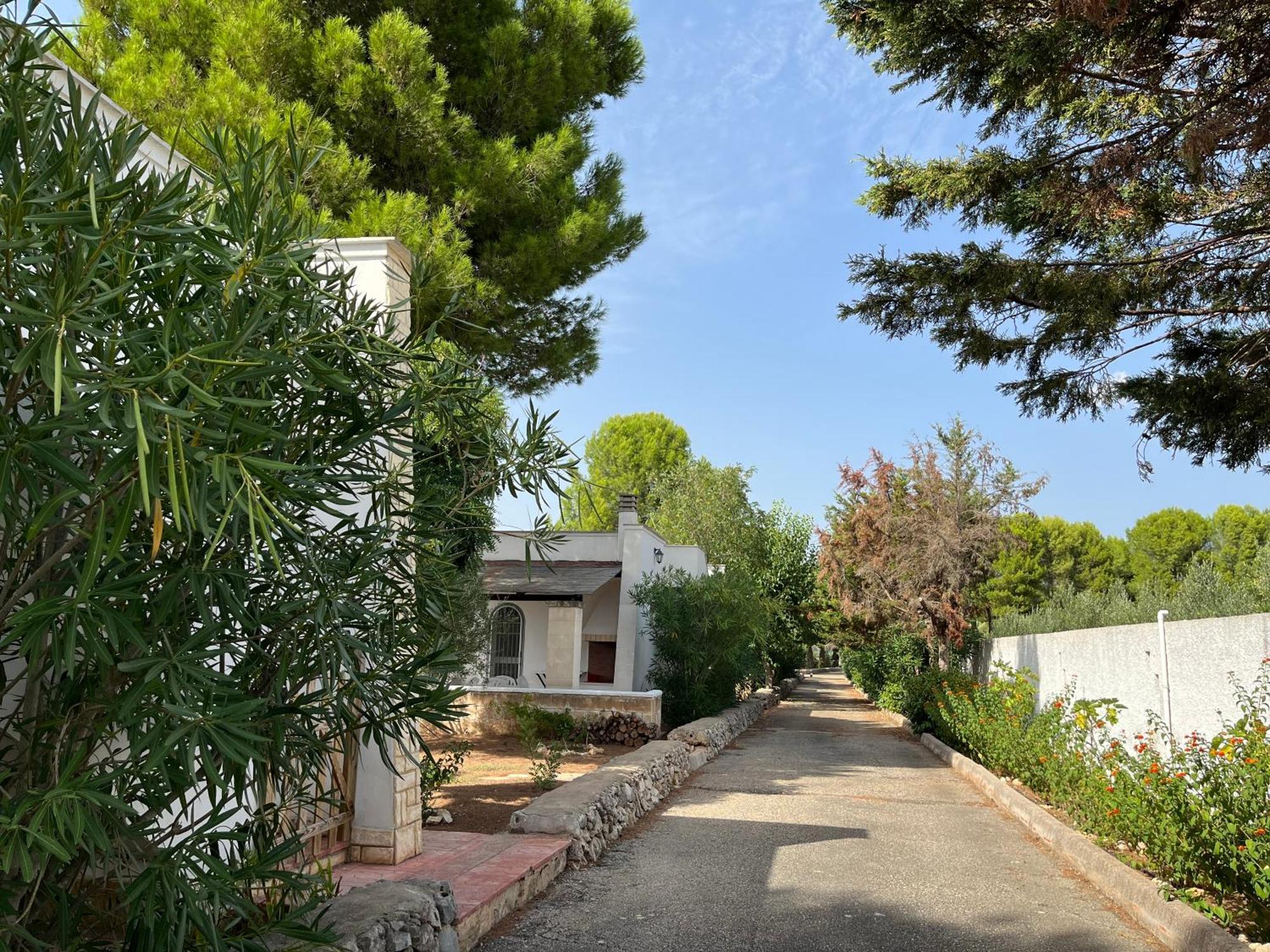 Casette Masseria La Camardia Sava Екстериор снимка