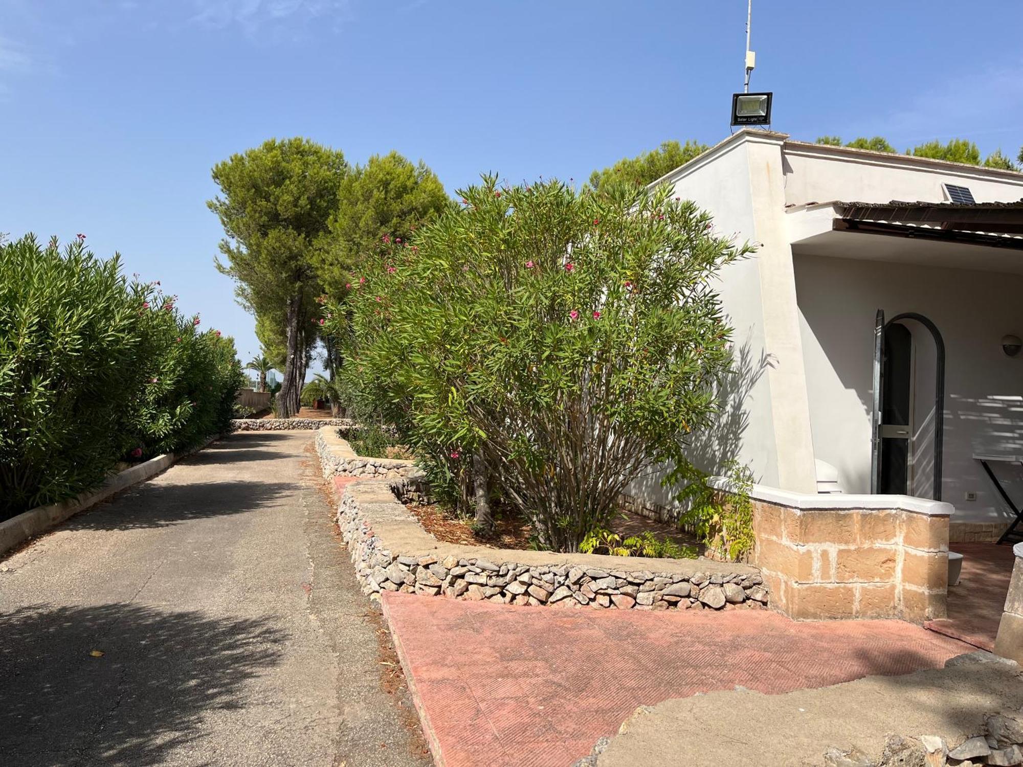 Casette Masseria La Camardia Sava Екстериор снимка