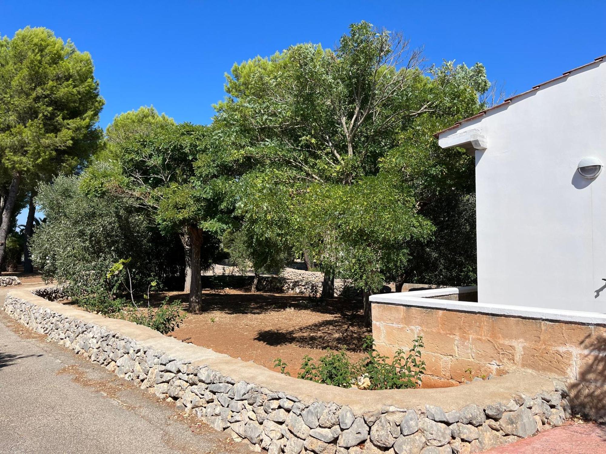 Casette Masseria La Camardia Sava Екстериор снимка