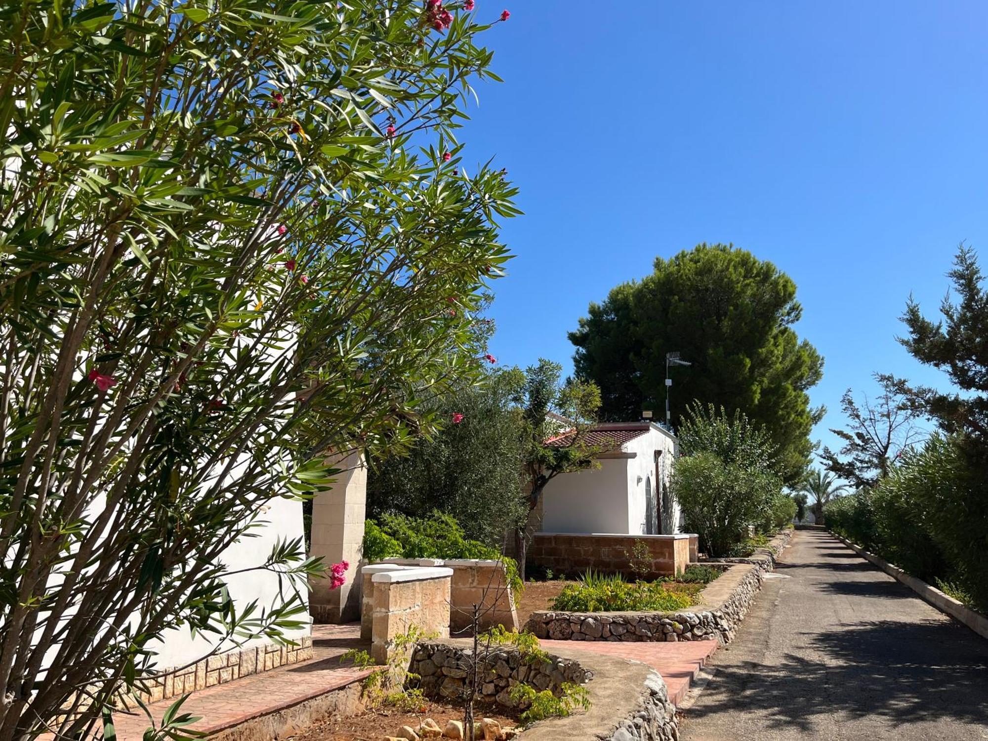 Casette Masseria La Camardia Sava Екстериор снимка